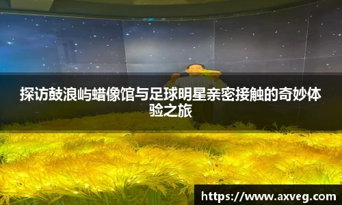 YY易游体育官方网站